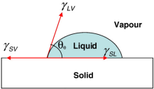 1592464740224917.png fcfaaf51f3deb48f4fb1586af31f3a292cf578ae.png